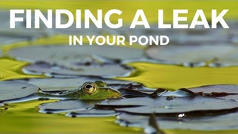 HOW TO LOCATE A POND LEAK