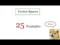 What is a Vector Space ?