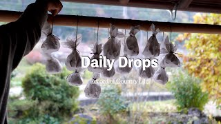 Vlog sur la vie en autarcie | Conserves d'hiver traditionnelles | #87