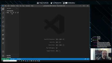 Live Coding: Building a Twitch bot in Go 7/16/20