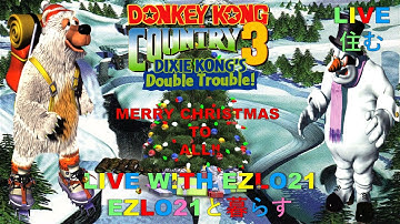 ⛄ Donkey Kong Country 3: Dixie Kong