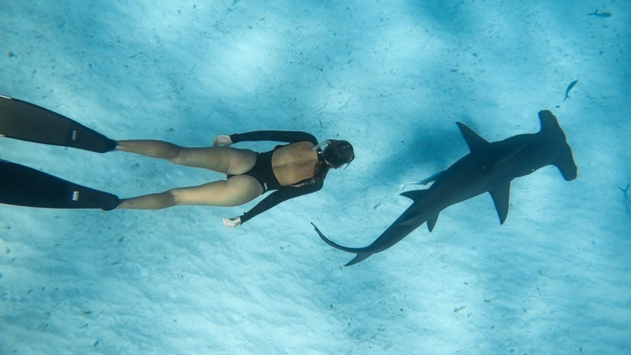 It’s TIME! This island has it ALL! SHARKS, stingrays, spearfishing, and…? [ep 66]