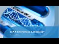 Dna extraction laboratory methods