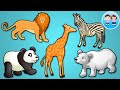 Animalele la Gradina Zoologica - Alege Silueta - Dreapta sau Stanga