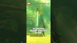 Two Ways to get The Master Sword in Breath of the Wild #shorts #zelda #nintendo