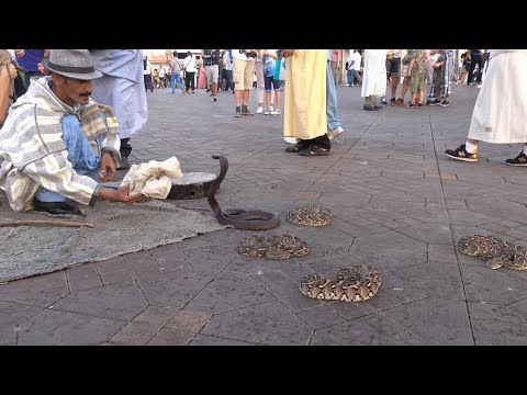 "Viaggio in Marocco" in 4K