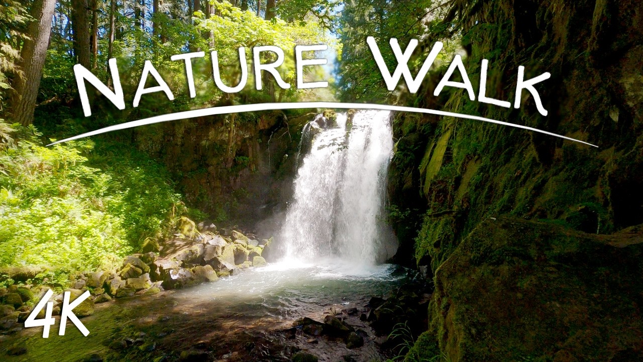 McDowell Creek Falls | 4K Virtual Nature Hike w/ Waterfalls | Pacific Northwest