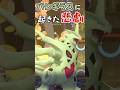 【ポケモンチャンピオンズ】バンギラスに起きた "悲劇"