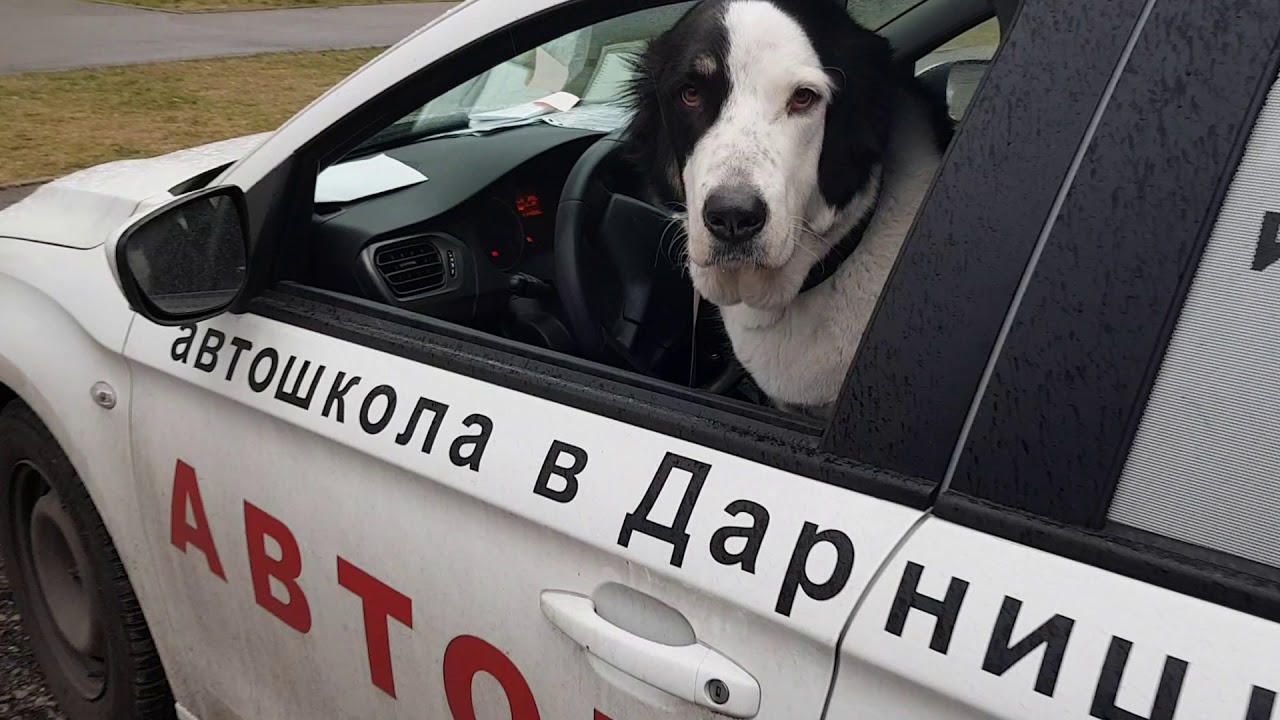 До скольки работает веста
