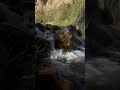 River Sounds for Deep Sleep 🌙 Relaxing Water and Nature Ambience (15 Min)