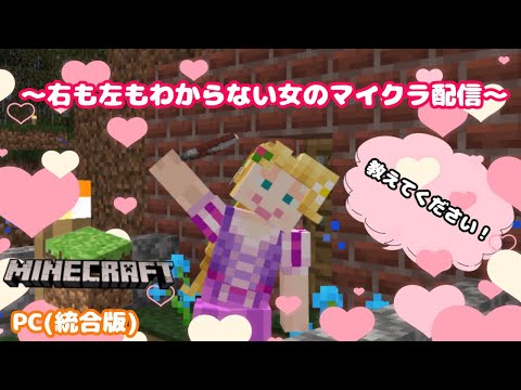 【Minecraft】右も左も分からない初心者のマイクラ配信（PC版）　～初めての釣りの巻～
