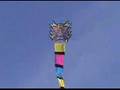 3-D Nylon Serpent Kite