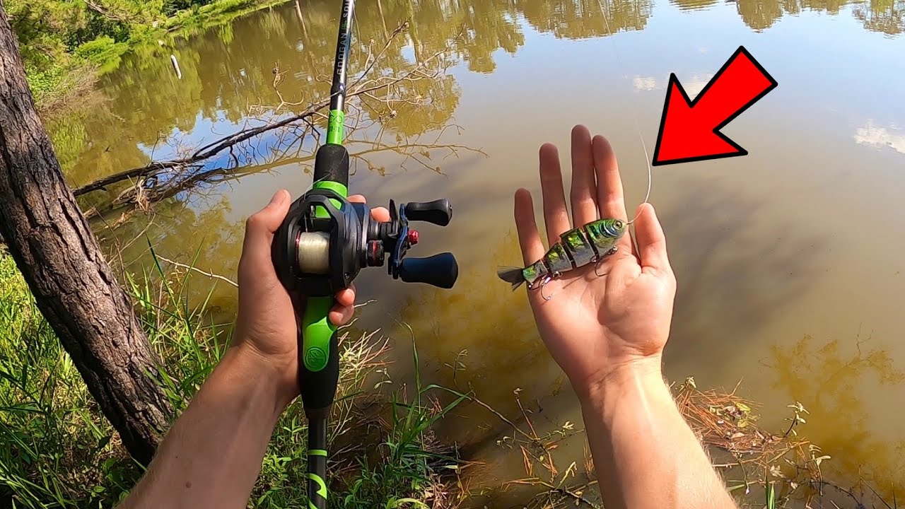 Using SwimBaits and Topwater Lures to target GIANT Pond Bass!!