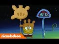 SpongeBob | Nickelodeon Arabia | سبونج بوب | تاريخ الحافلة