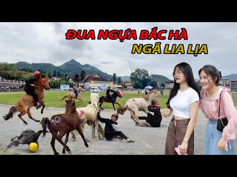 Video: Top 5 giống ngựa cho cuộc đua thùng