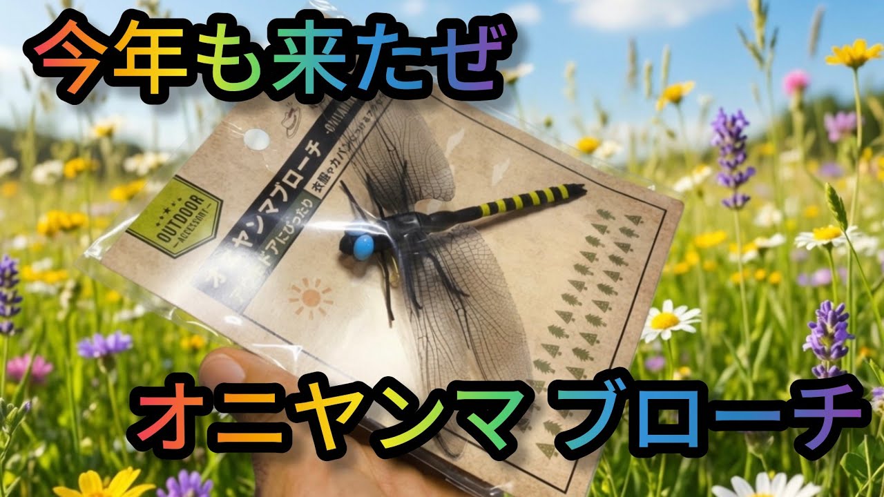 It's Back Again: The Darner Dragonfly Brooch - YouTube