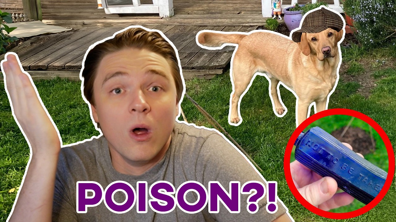 Latest Title & Thumbnail