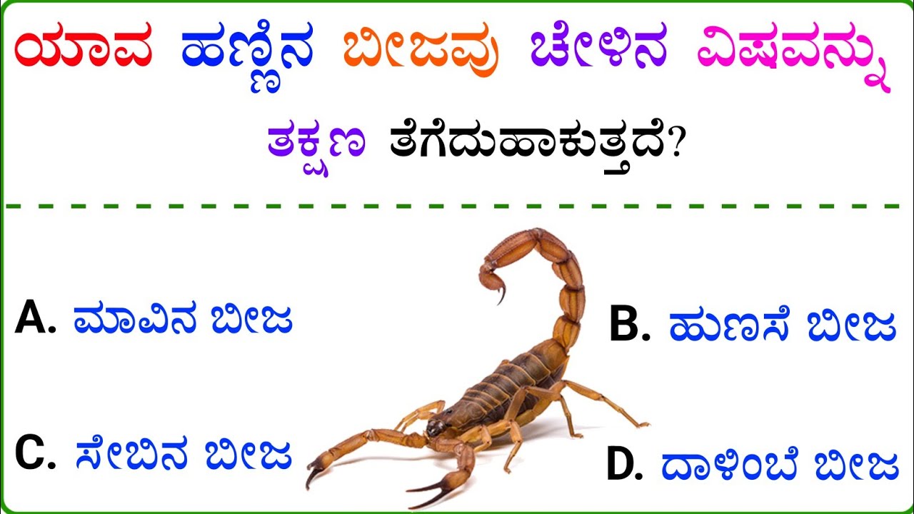 Most Interesting GK Questions in Kannada !!🤔