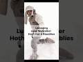 UNBOXING - Luke Skywalker Hoth Hat & Greeblies