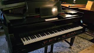 1925 Steinway Xr Duo Art - Ho-Hum - Victor Arden