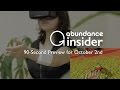Abundance Insider Preview: October 2nd