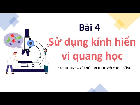 Video KHTN 6 - BÀI 4: SỬ DỤNG KÍNH HIỂN VI QUANG HỌC (KẾT... - YouTube
