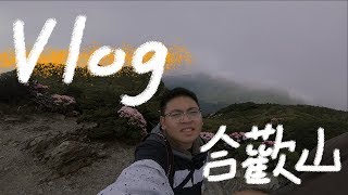 [Vlog]合歡山一日遊 | 整片高山杜鵑好美
