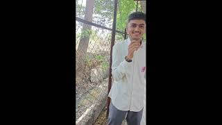 3 Campus Green Audit YMN