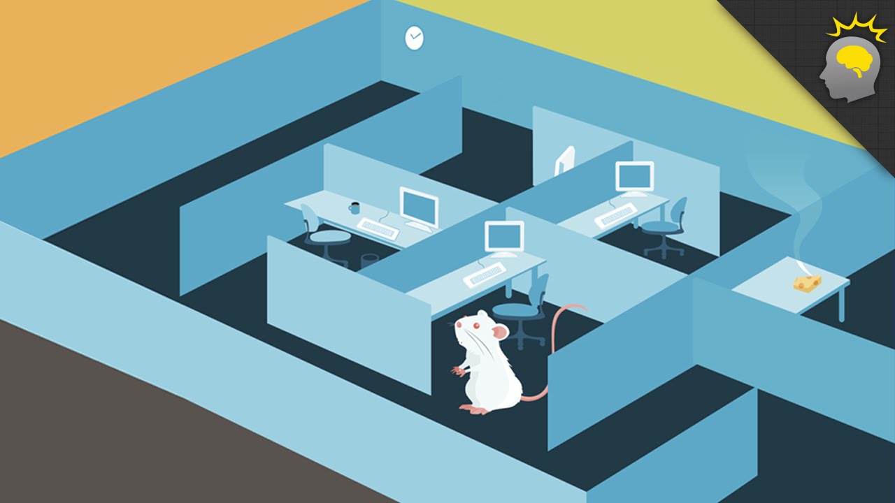 Rat hacking