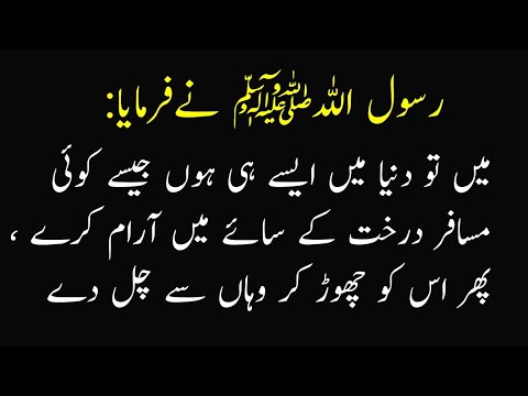 Hadees E Pak In Urdu Hadees Sharif Hadees In Urdu Hazrat Muhammad