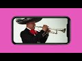 Serenatas Virtuales - El Mariachi Tecalitlán