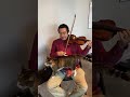 Attempting a virtuoso violin lick with cat on lap