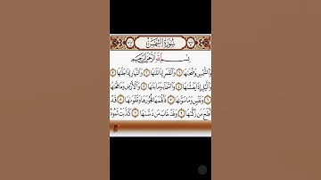 سورة الشمس بصوت الحاج عامر الكاظمي