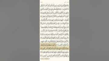 حفظ سورة البقرة آية 161 و 162 و 163
