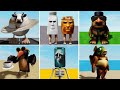 Ayo Bantu Aku Mencari Anomali! | Brainrot Morphs - Roblox