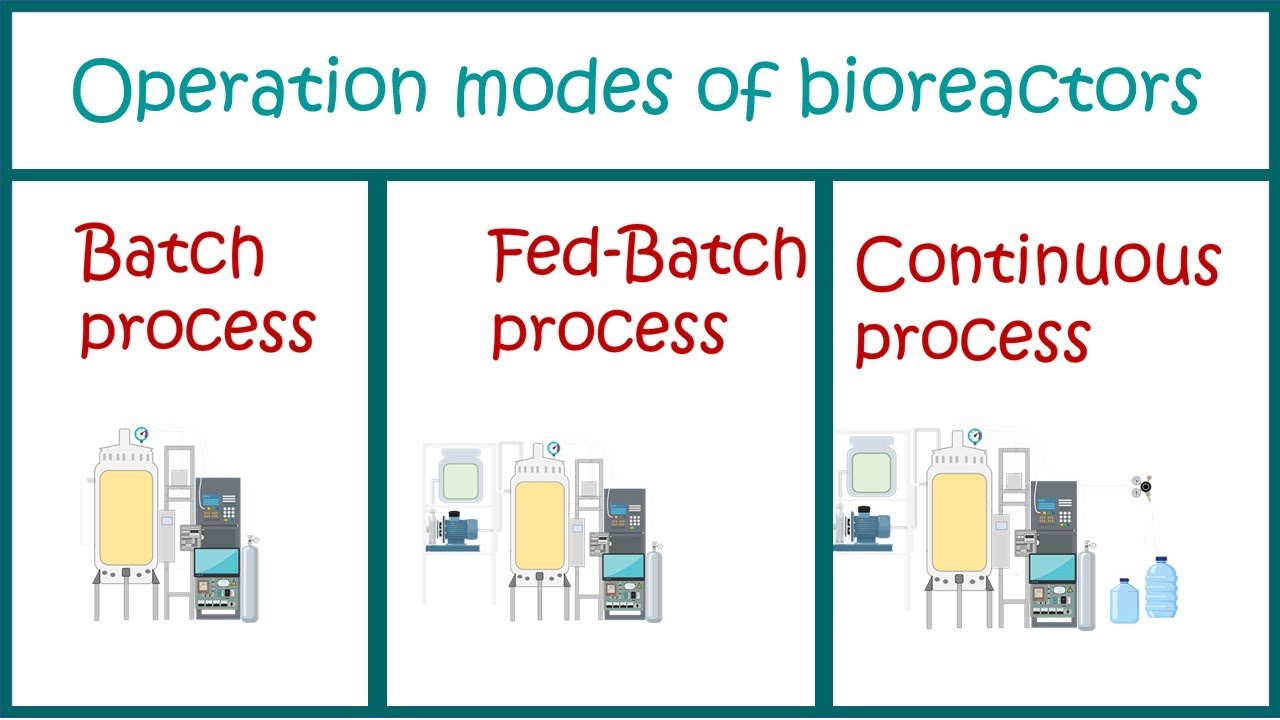 Types Of Bioprocesses ( Batch , Fed Batch And Continuous Processes)
