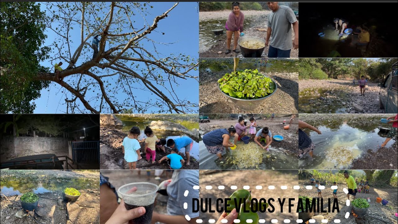 Nos FUIMOS a buscar PARoTAs 🤤 así es como las cortaron BUSCAnDo Piedras para aser un jogon 😮‍💨😮‍💨