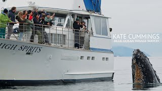 High Spirits - Whale Watching in Monterey Bay