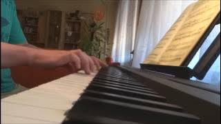 Mozart: Andante from Piano Concerto No. 21 KV 467 'Elvira Madigan'