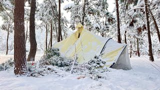 Snow BOMB 40cm, Wind Chill 22, HEAVY SNOW CAMPING on Christmas | Logs fall from the sky