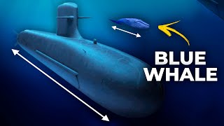 Top 10 BIGGEST Submarines In The WORLD