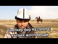 😀 Саяпкер кайсы КЕЛИНГЕ жооп берди 😱 ЖЫЛКЫ Тууралуу СУРОО-ЖООП