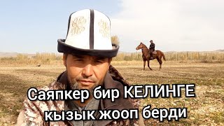 😀 Саяпкер кайсы КЕЛИНГЕ жооп берди 😱 ЖЫЛКЫ Тууралуу СУРОО-ЖООП