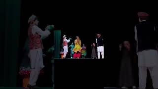 Afghan Wedding Dance In Theater