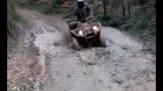 quad novales 5