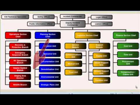 Ics Color Structure Incident Command System Organizational Chart: The Essential Guide (FEMA ...