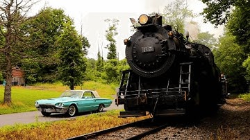 CNJ 113 & The Thunderbird