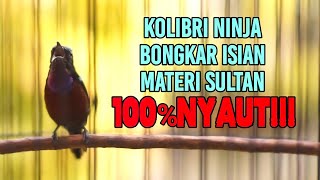HITUNGAN DETIK KOLIBRI NINJA APAPUN PASTI IKUT GACOR DAN BONGKAR ISIAN MATERI MEWAH FULL TEMBAKAN