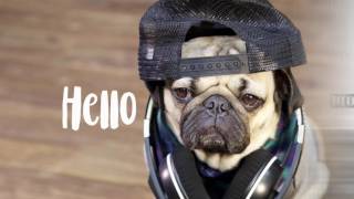 Solidtech By Mohawk Promo Reel