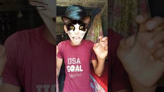 The Cat Pressed The Sensor... But A Husky Head Jumped Outp8777